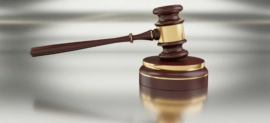 ملخص شركة المساهمة